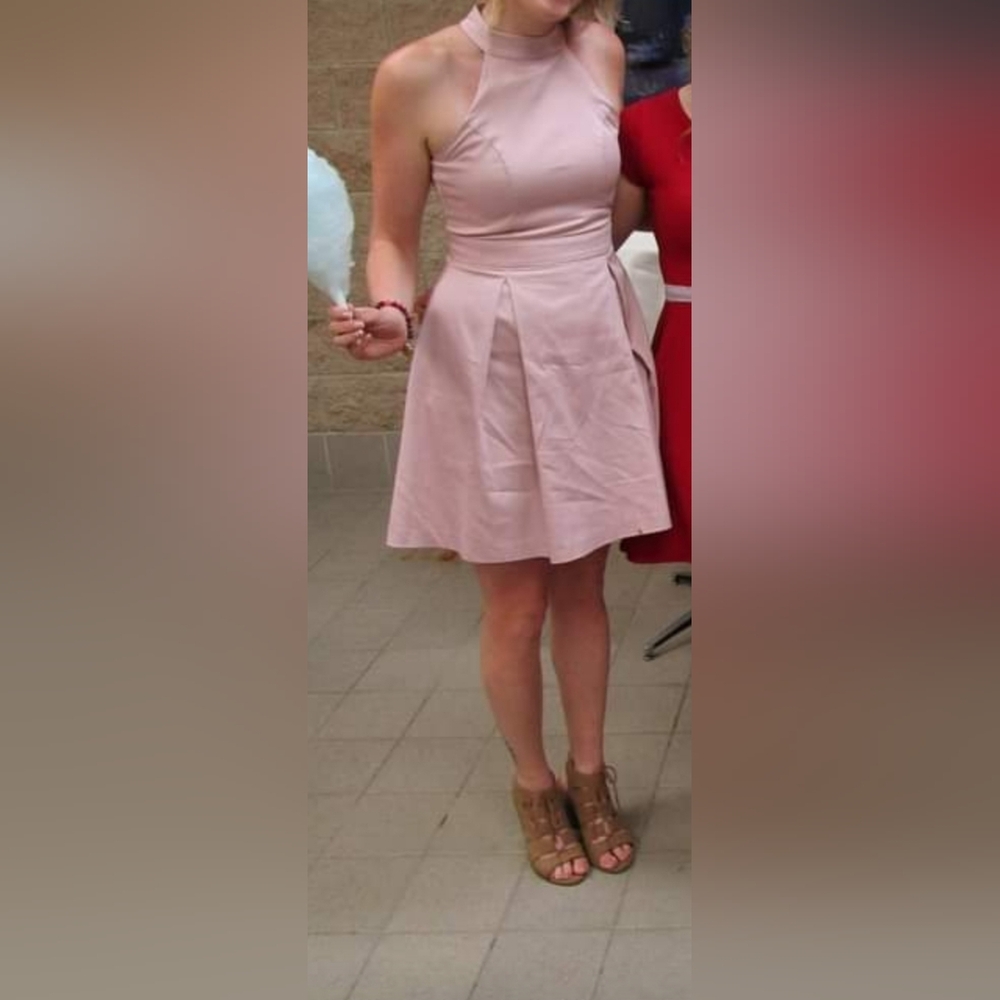 Zara blush dress